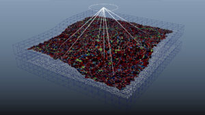 An image of the spatial arrangement being built in a computer graphics application to animate geometric patterns and yeast cells together