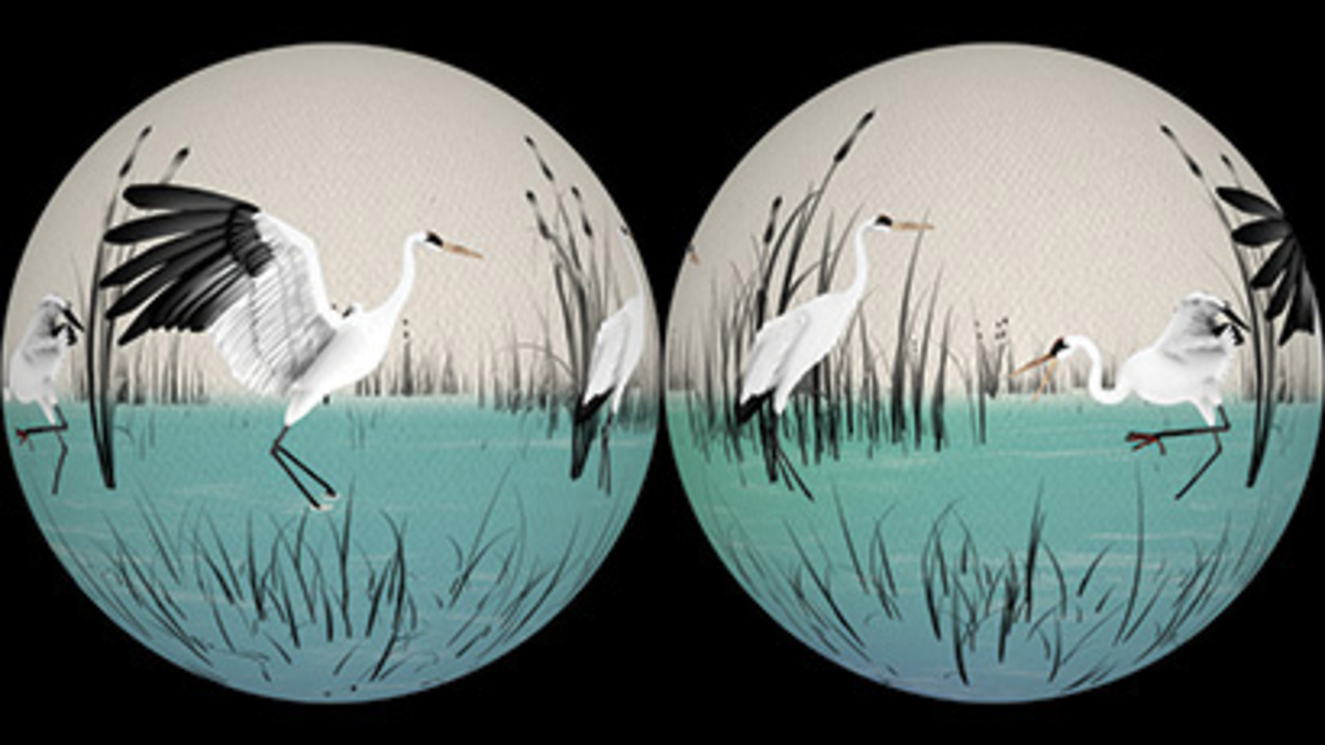 Watercolored cranes animated on a sphere.